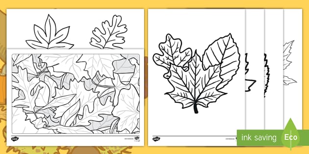 livros de colorir para imprimir