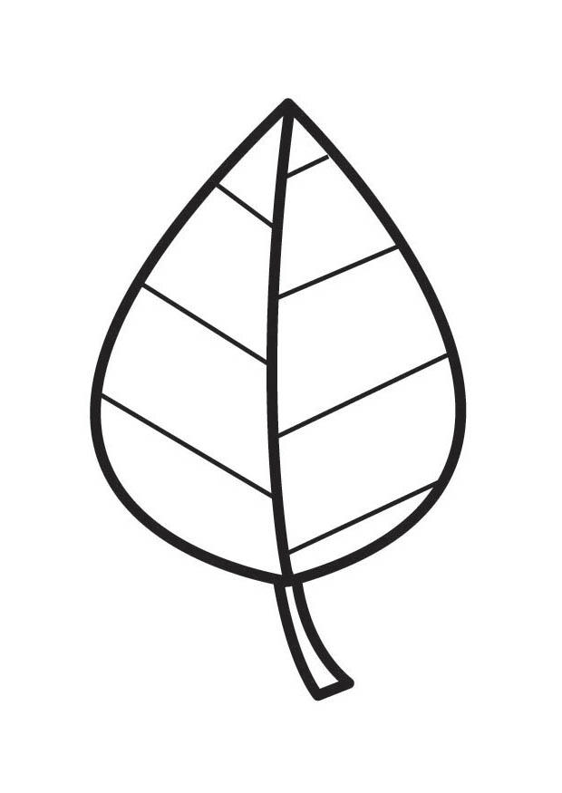 desenhos de folhas tropicais para colorir