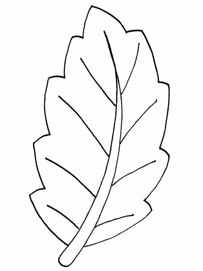 papel para imprimir desenhos