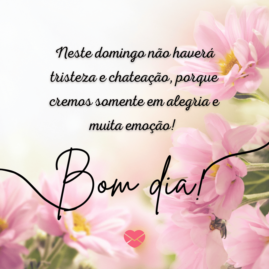 frases de bom dia domingo abençoado whatsapp