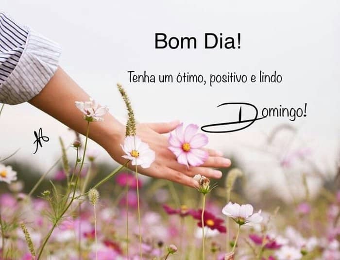 mensagens de bom dia domingo para amigos