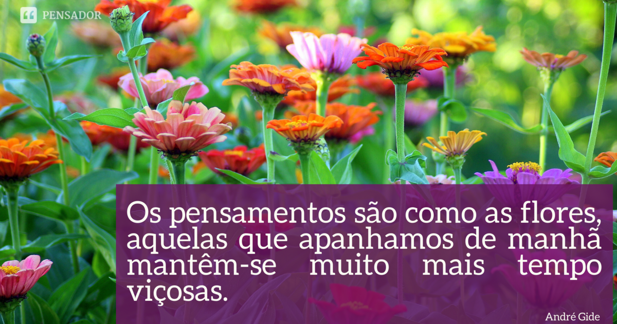 frases de bom dia domingo abençoado whatsapp