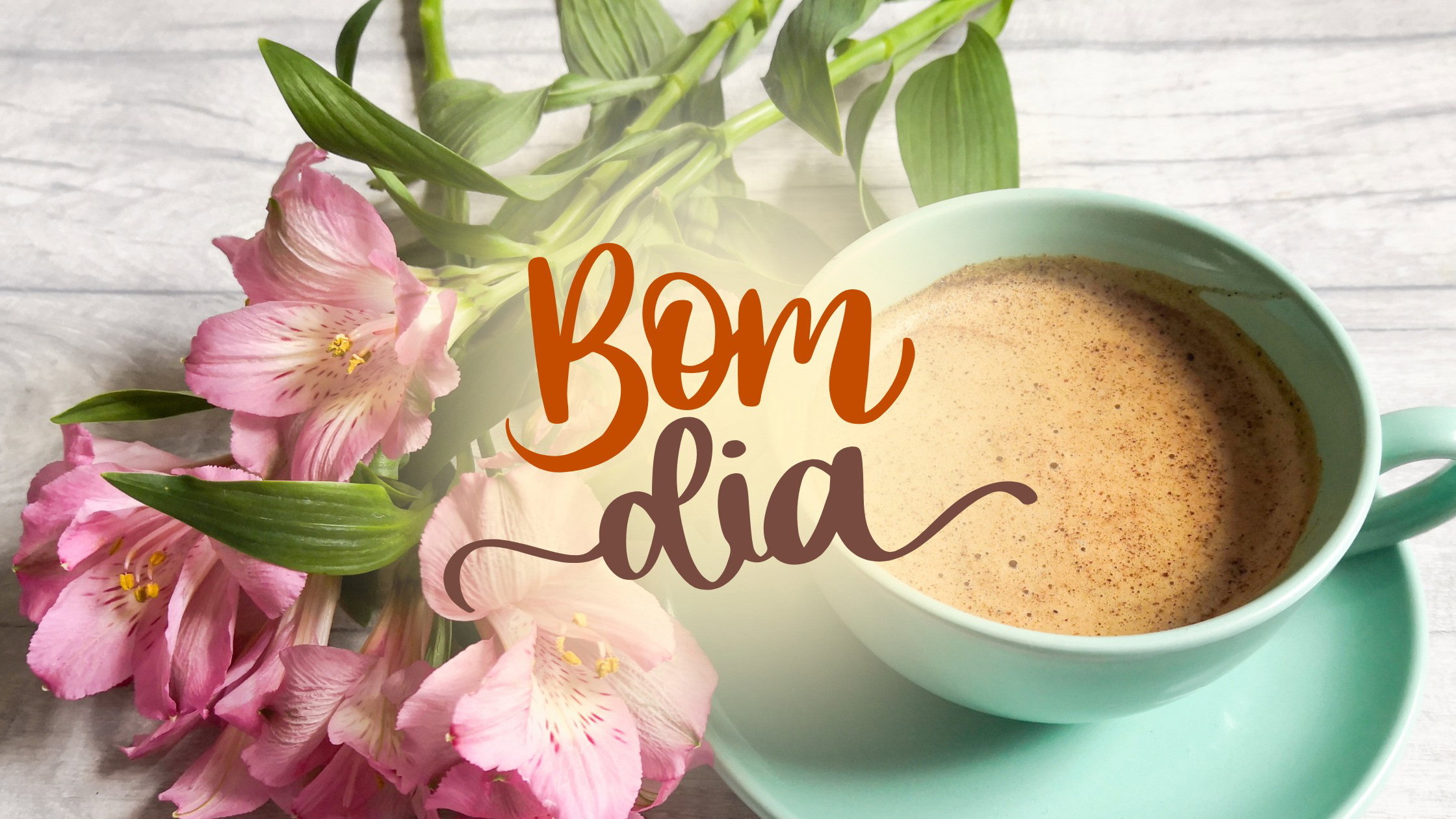 bom dia flores para whatsapp