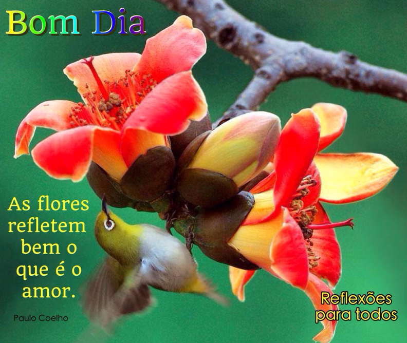 bom dia com flores e café