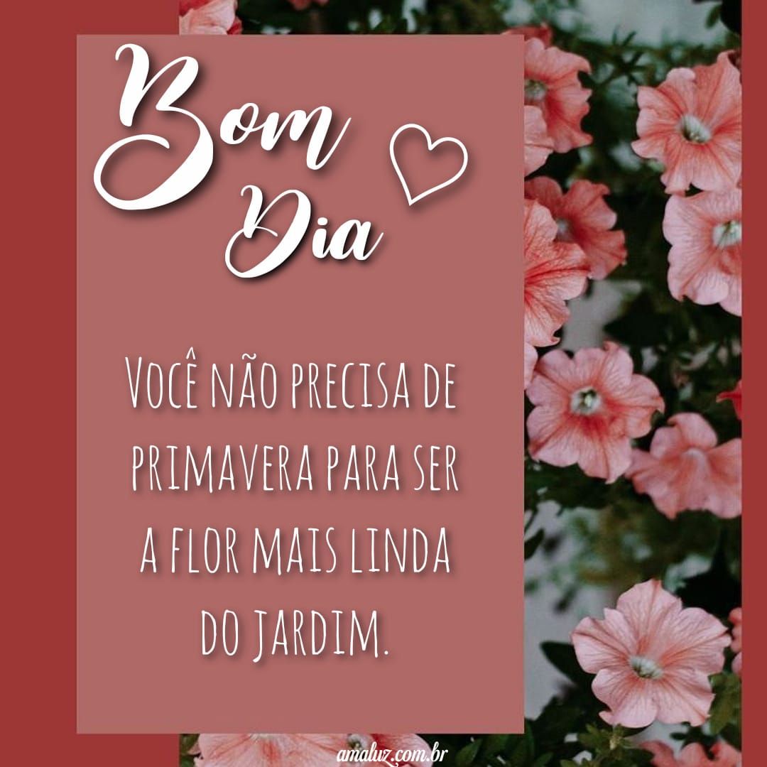imagens de bom dia com flores e frases