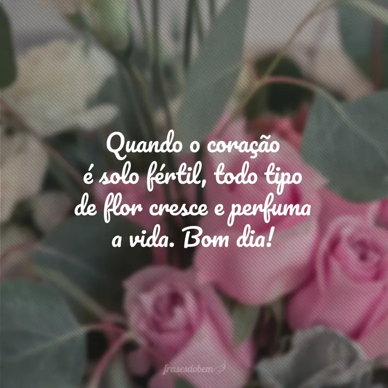 bom dia flores para facebook