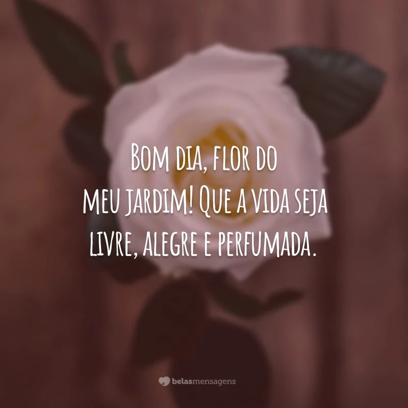 bom dia com flores e borboletas