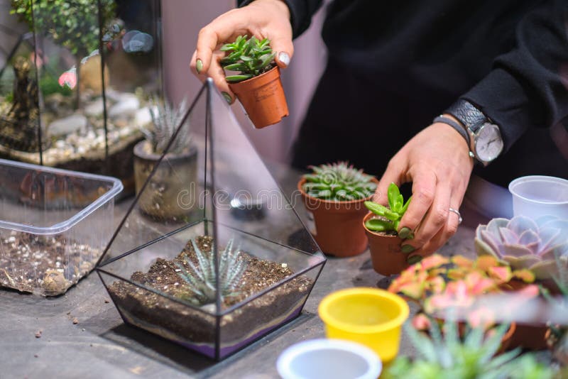decoração jardim miniatura