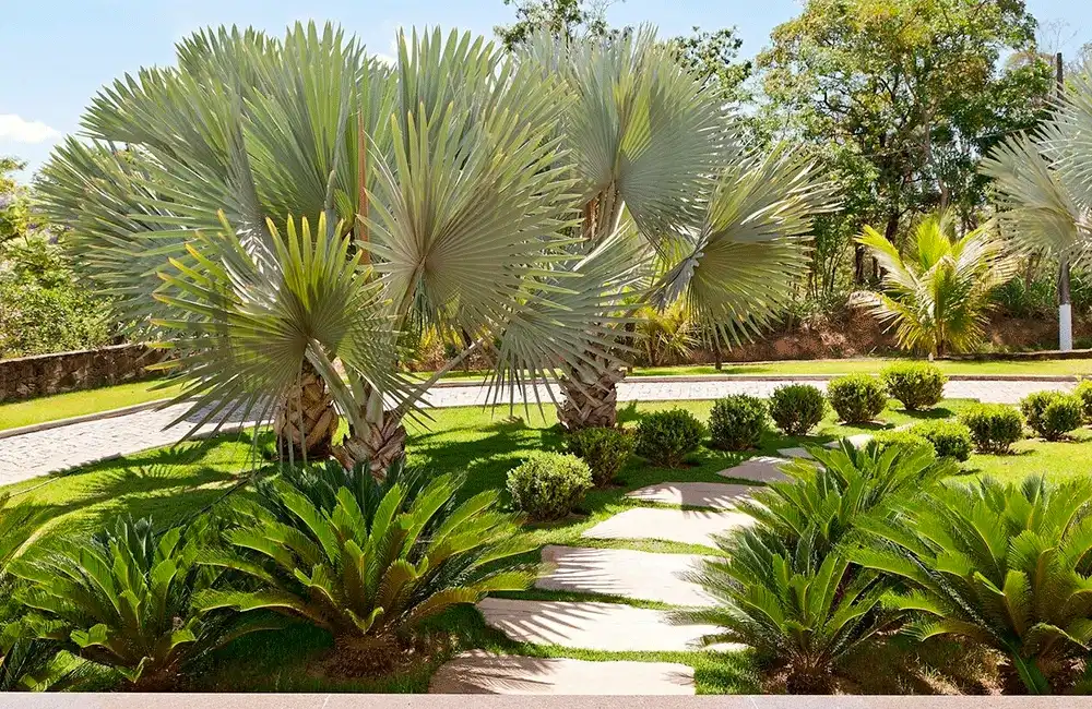 decoração rústica para área externa