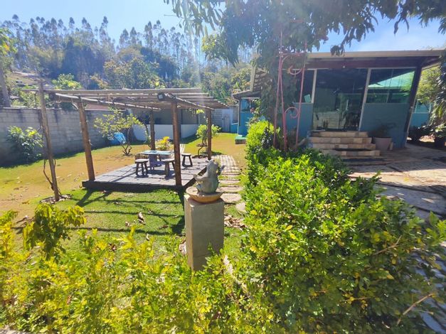 jardim com troncos e madeira