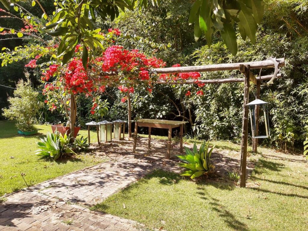 jardim com troncos e madeira
