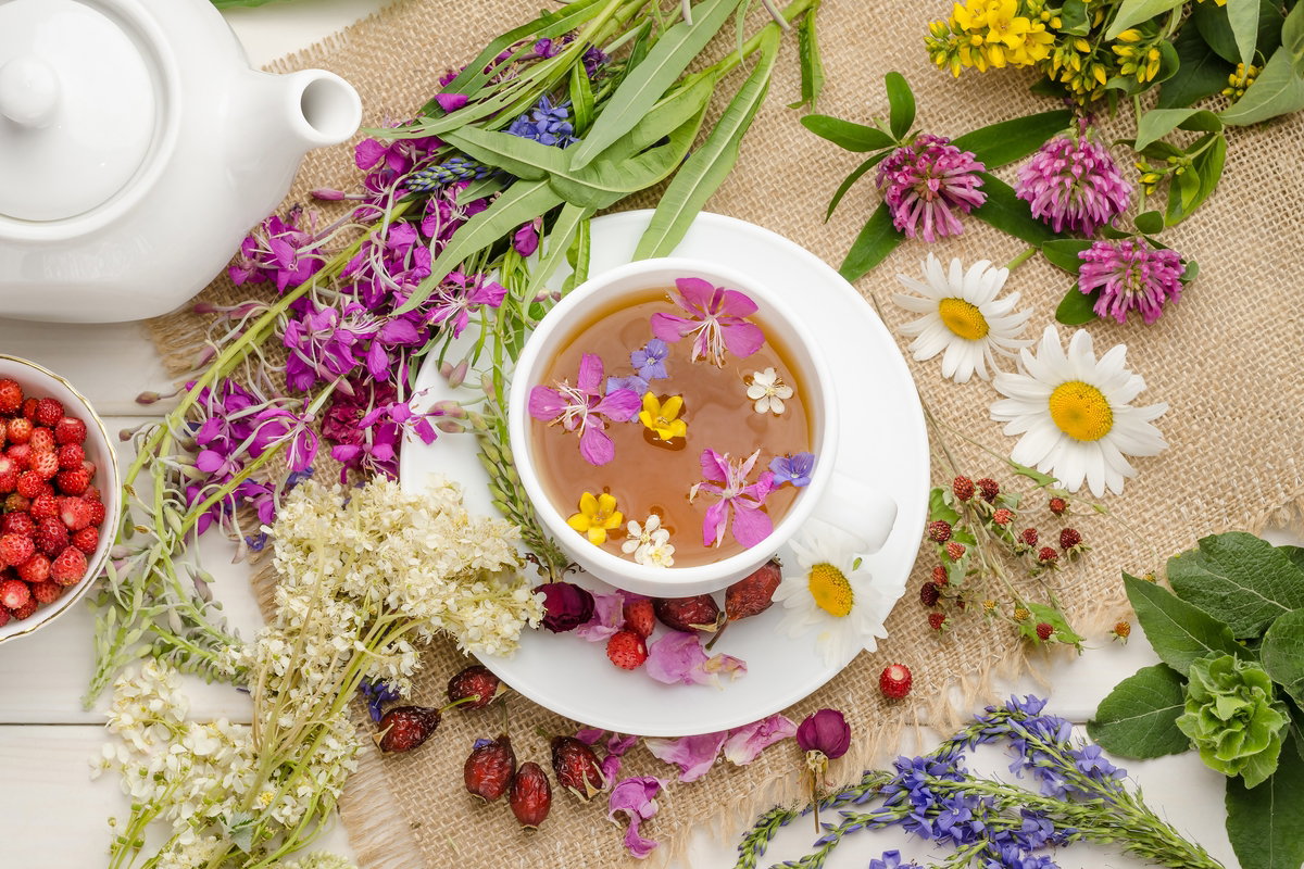 infusão para ansiedade
