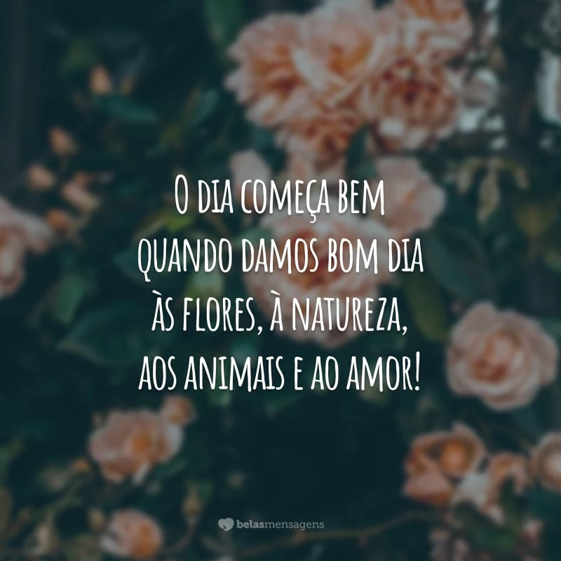 bom dia romântico