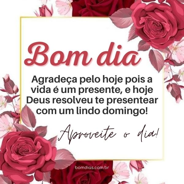 bom dia abençoado domingo