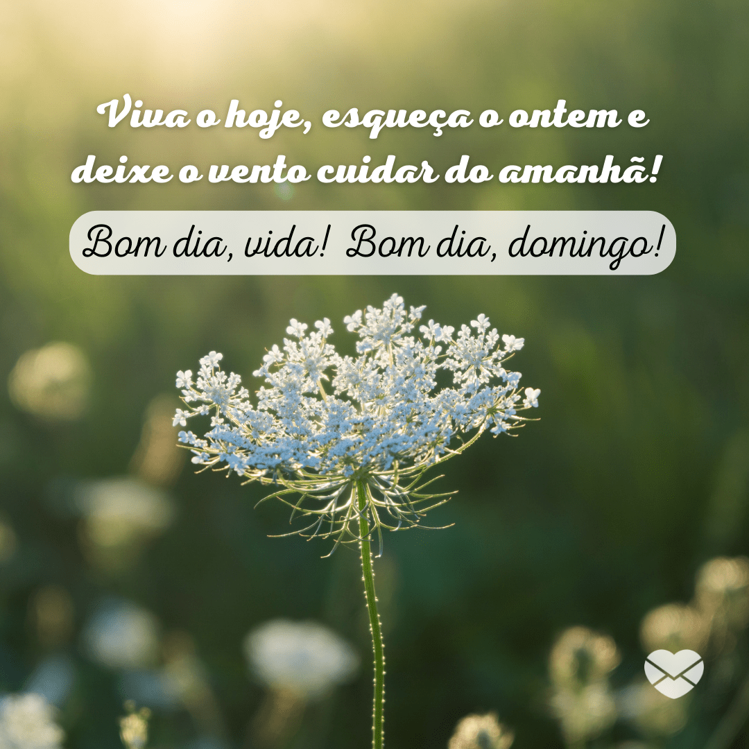 mensagens curtas domingo whatsapp