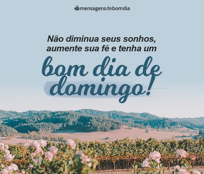 domingo reflexão mensagens