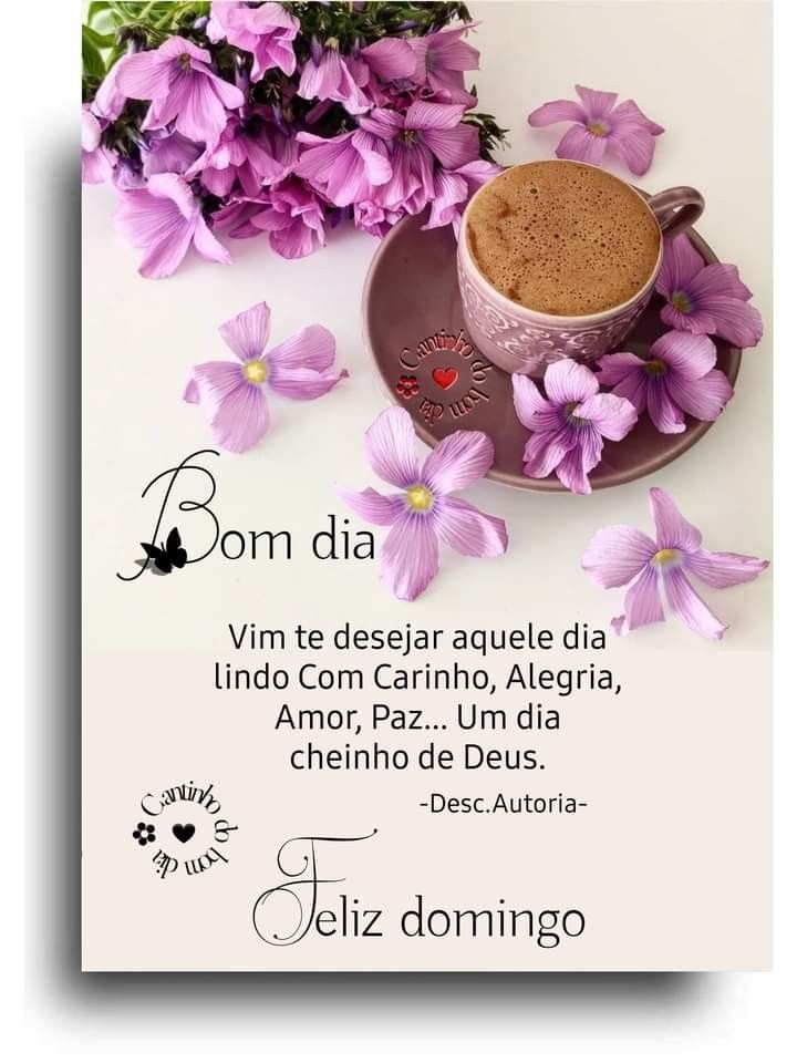 frase bom dia domingo whatsapp