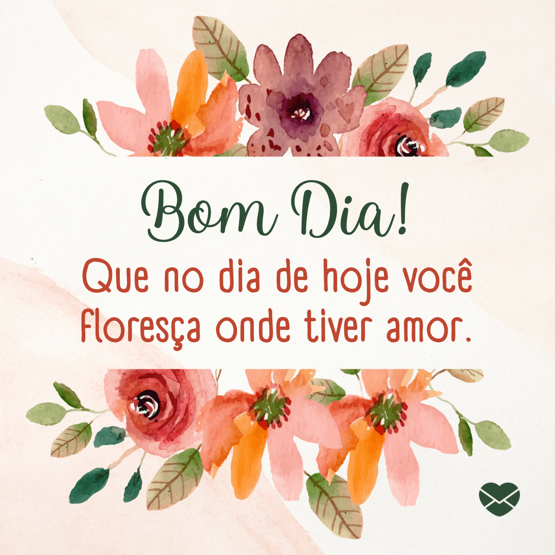 vídeo de bom dia para status