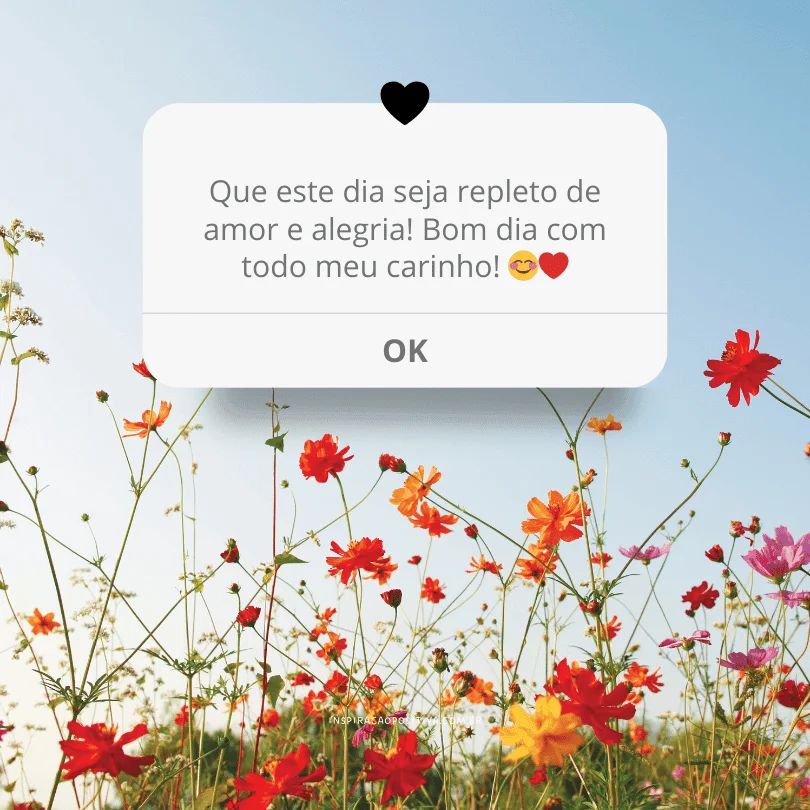 mensagem de bom dia em vídeo