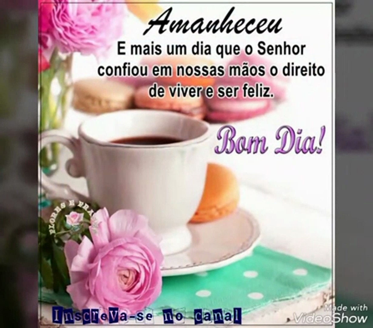 modelo de vídeo bom dia