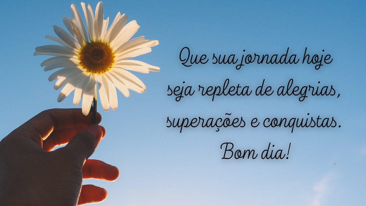 baixar vídeo bom dia