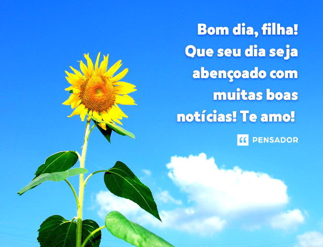 editar vídeo de bom dia