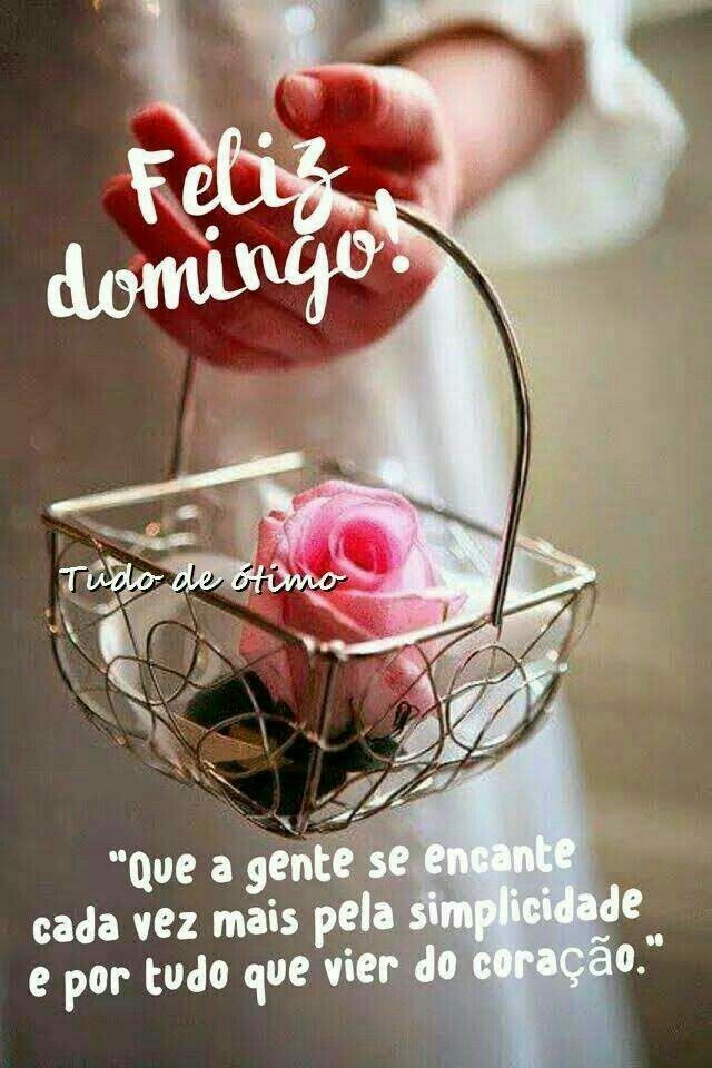 domingo de descanso