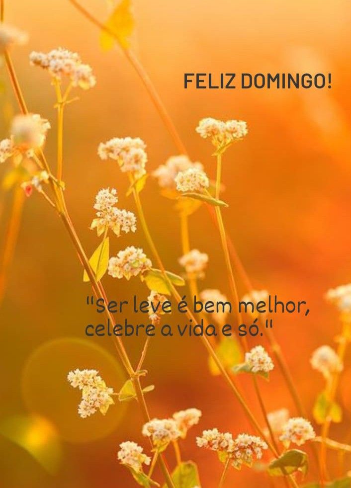 desejar um feliz domingo