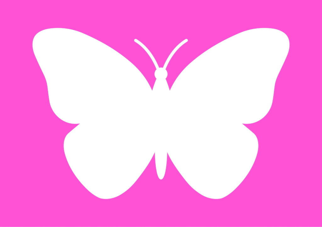 molde borboleta resina