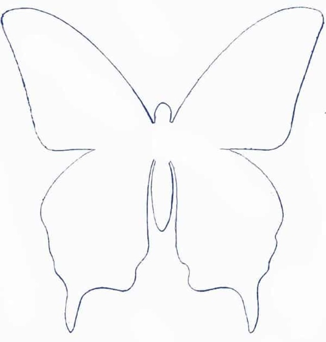 desenho de borboleta para imprimir