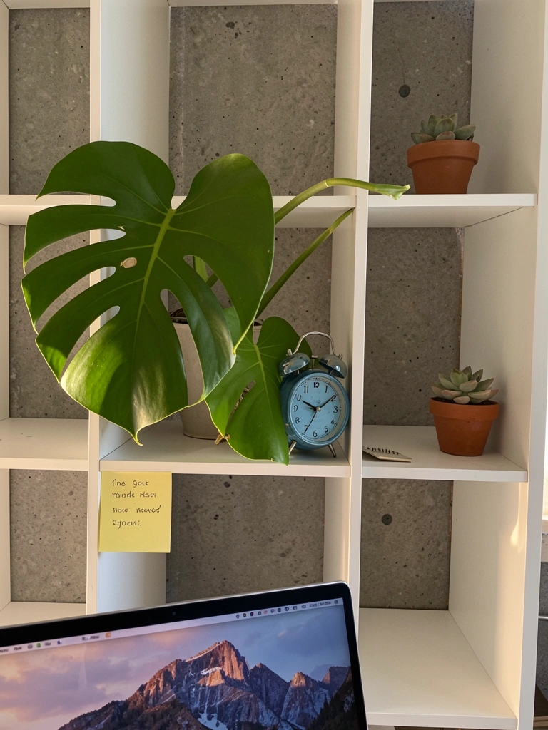Nicho branco modular com Monstera, despertador azul e suculenta em terracota sobre fundo de concreto cinza, luz natural.