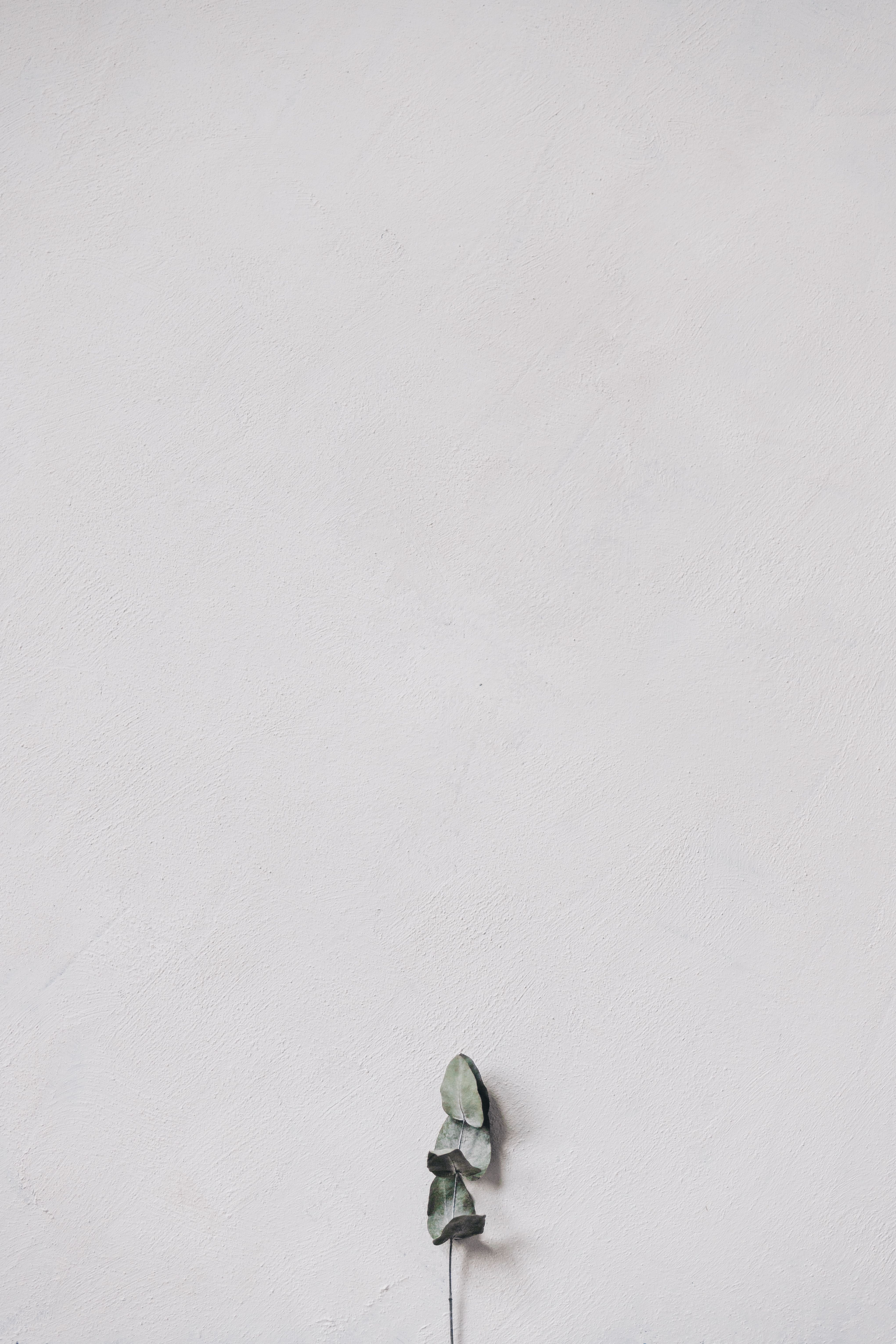 papel de parede minimalista abstrato