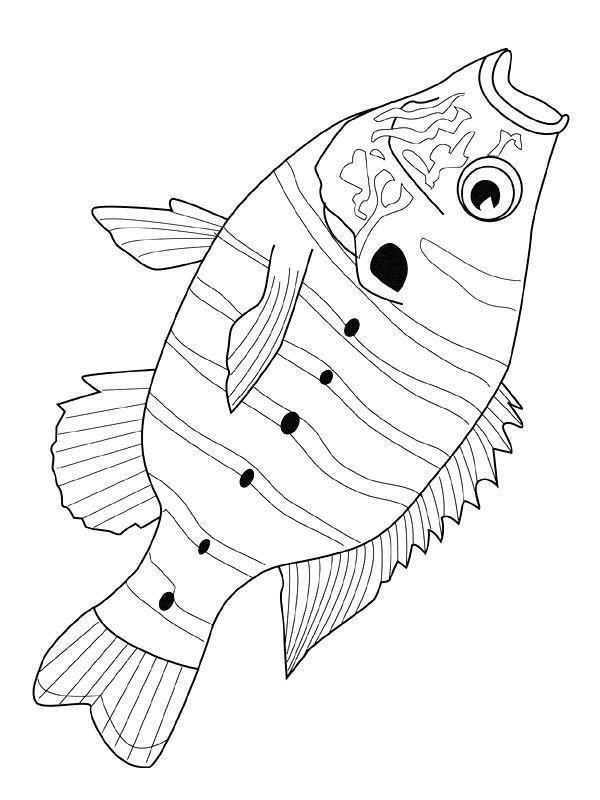 colorir peixe mandala