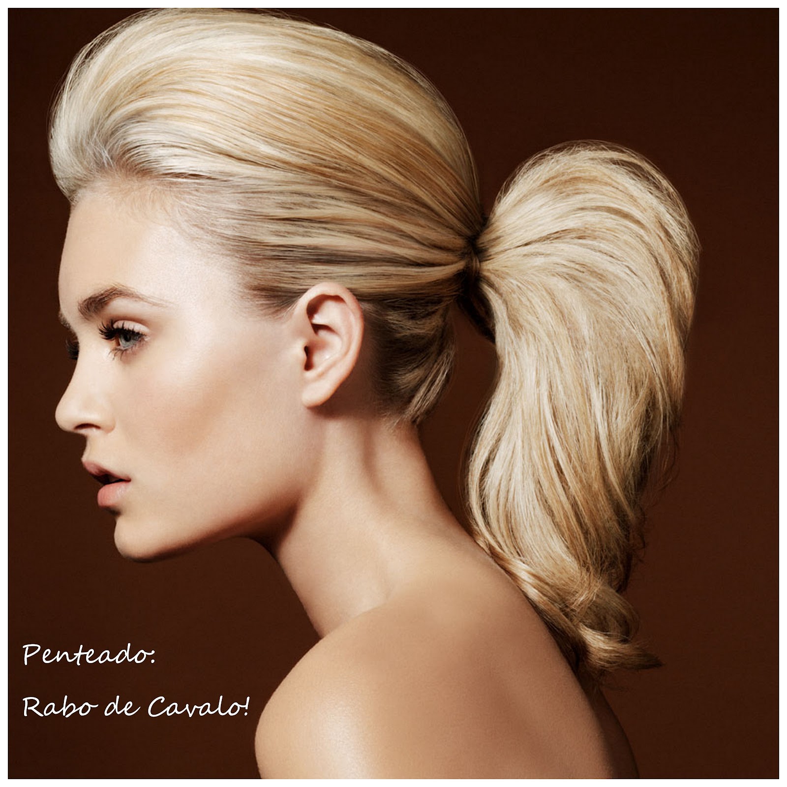 penteado rabo de cavalo dia a dia