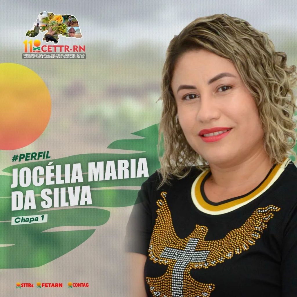 qual perfil usar em obra
