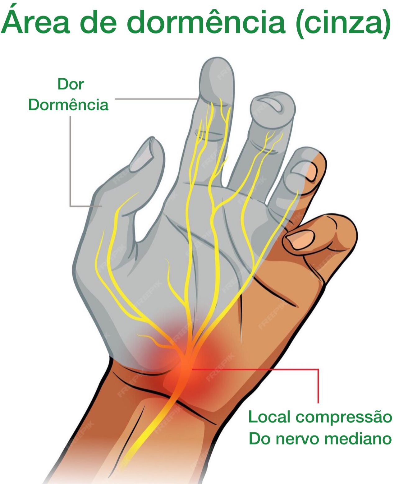 dormência de sementes