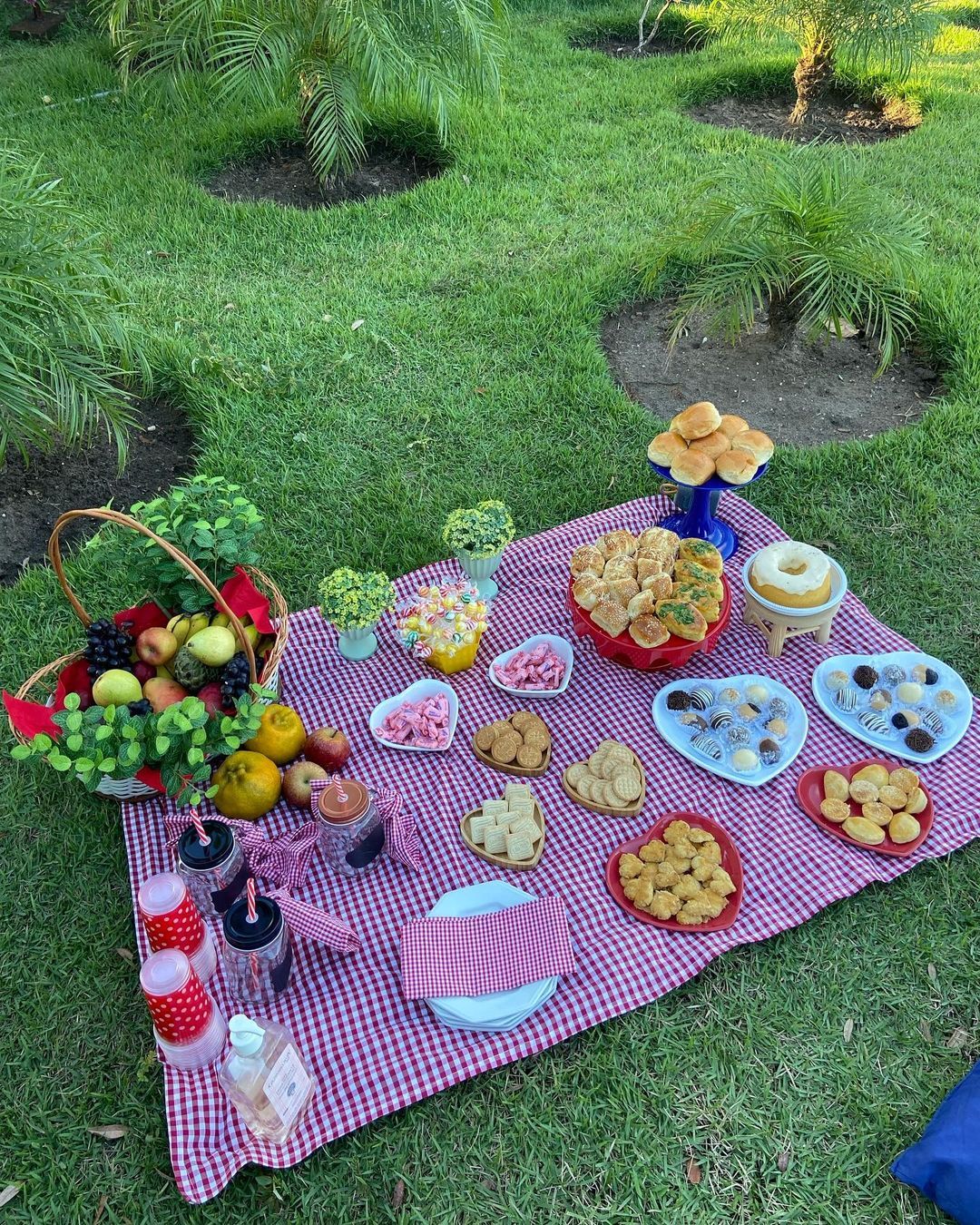 festa piquenique infantil