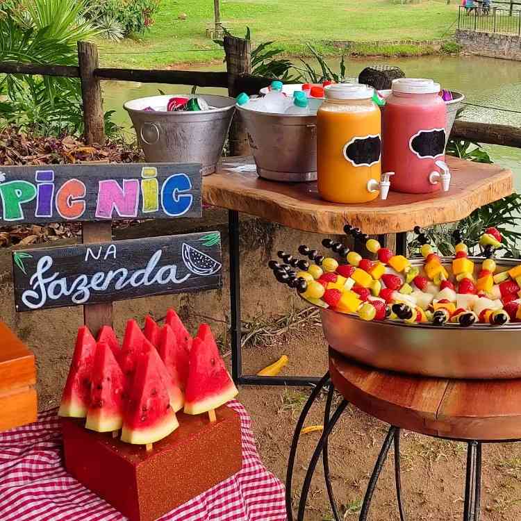 decoração piquenique infantil