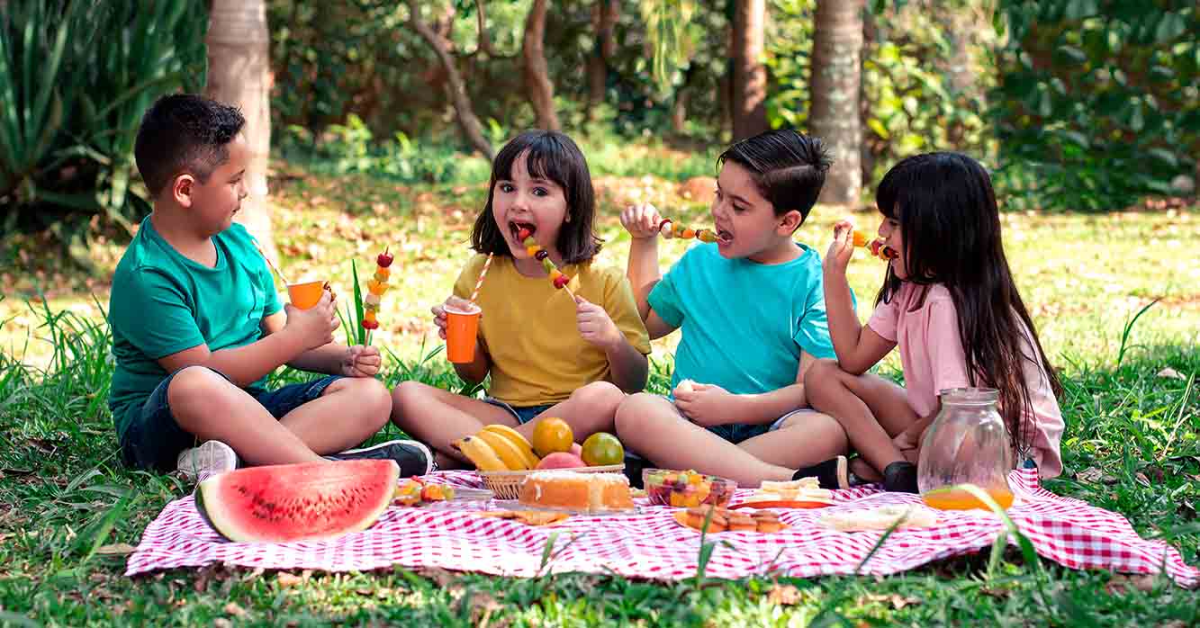 piquenique de aniversário infantil