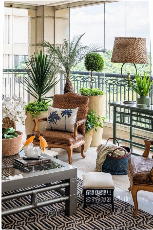 plantas com pouca rega para vasos