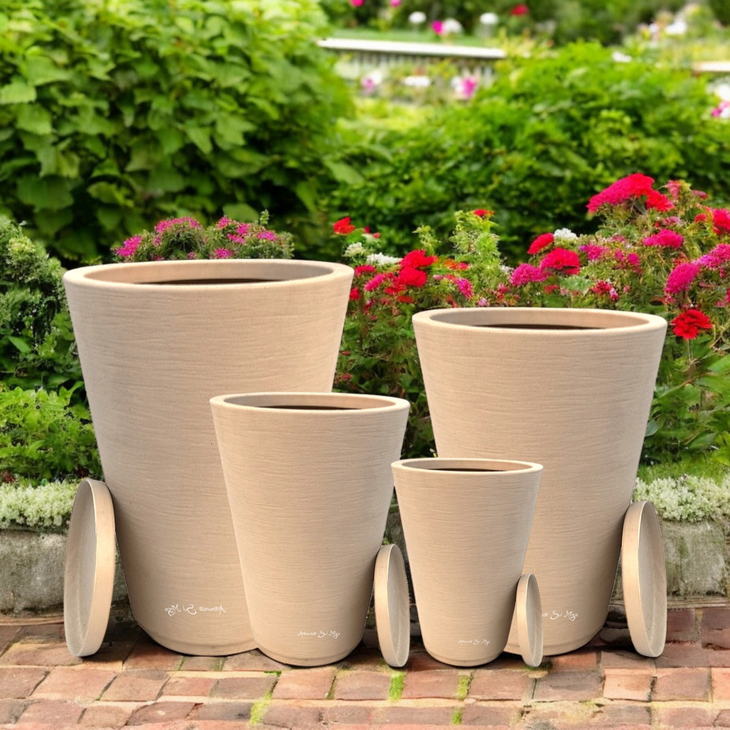 arbustos para vasos em sol forte