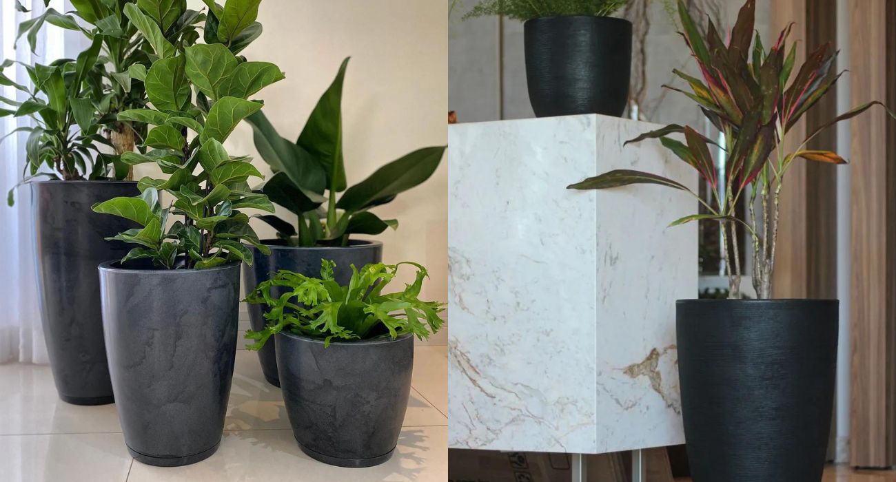 jardim vertical com plantas de sol
