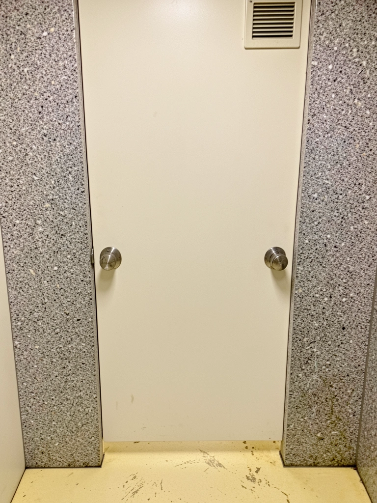 Porta de banheiro branca com frisos verticais, puxador dourado, parede cinza clara.