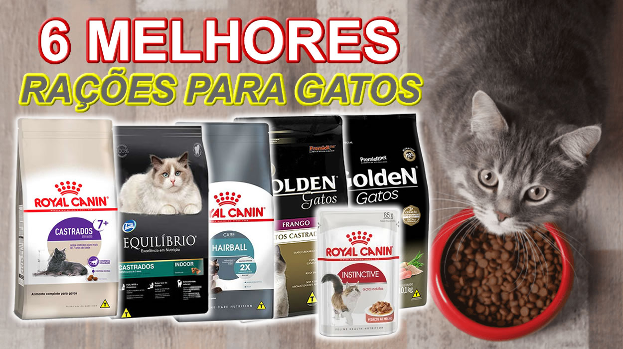alimentos para felinos castrados