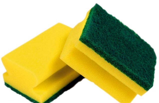 bactérias esponja cozinha