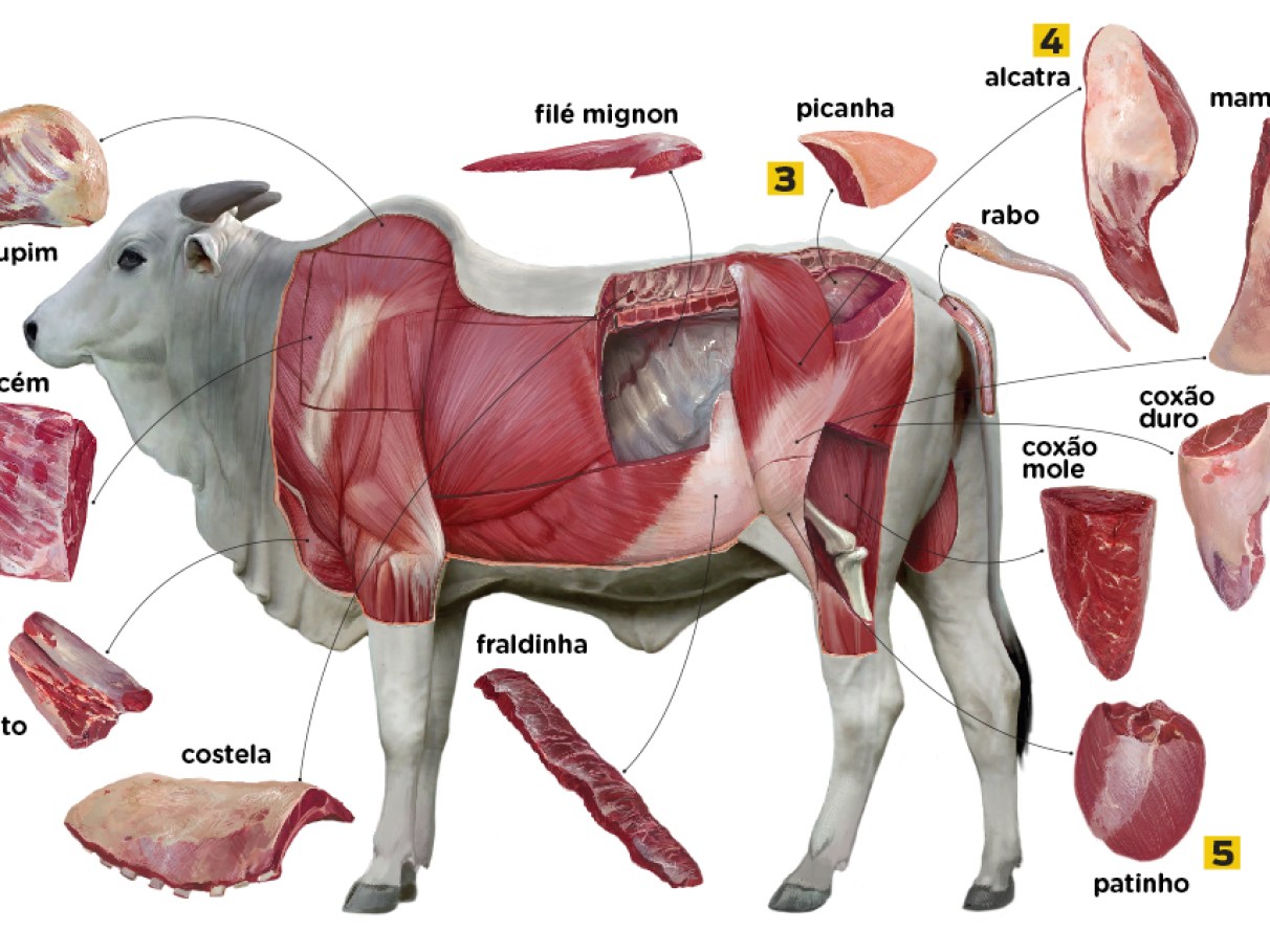 rendimento de picanha
