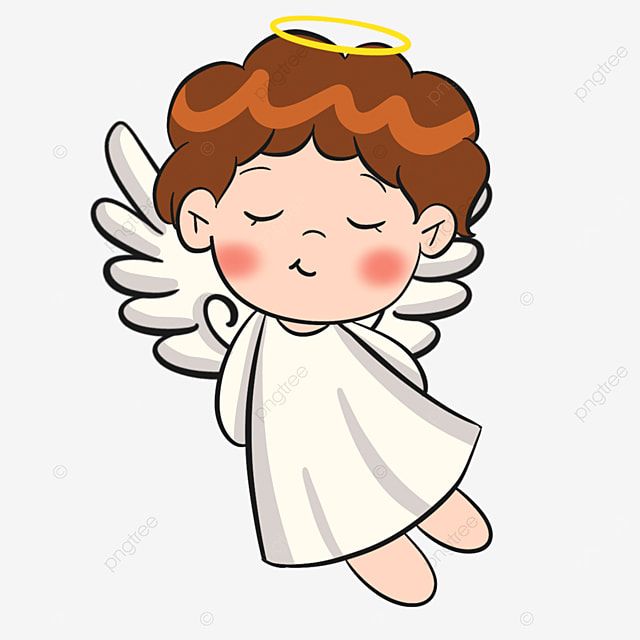rolo anjo