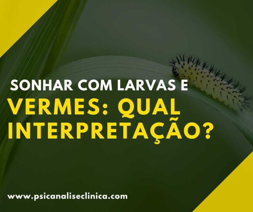 sonhar com muitas formigas