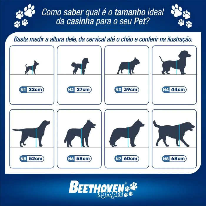 medidas casinha labrador