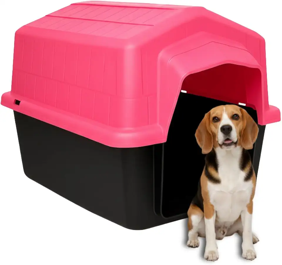 casinha para labrador grande